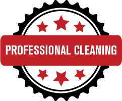 Professional Cleaning